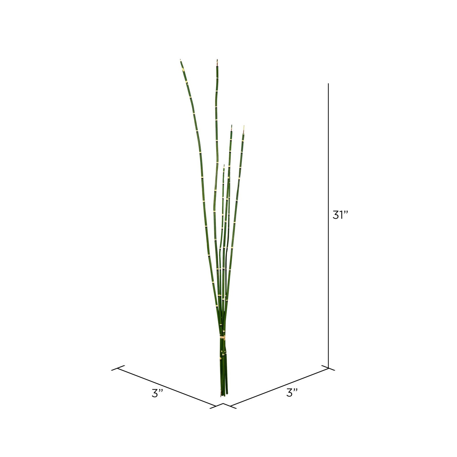 Vickerman 31″ Plastic Artificial Horsetail Bundle in Green (Set of 2)