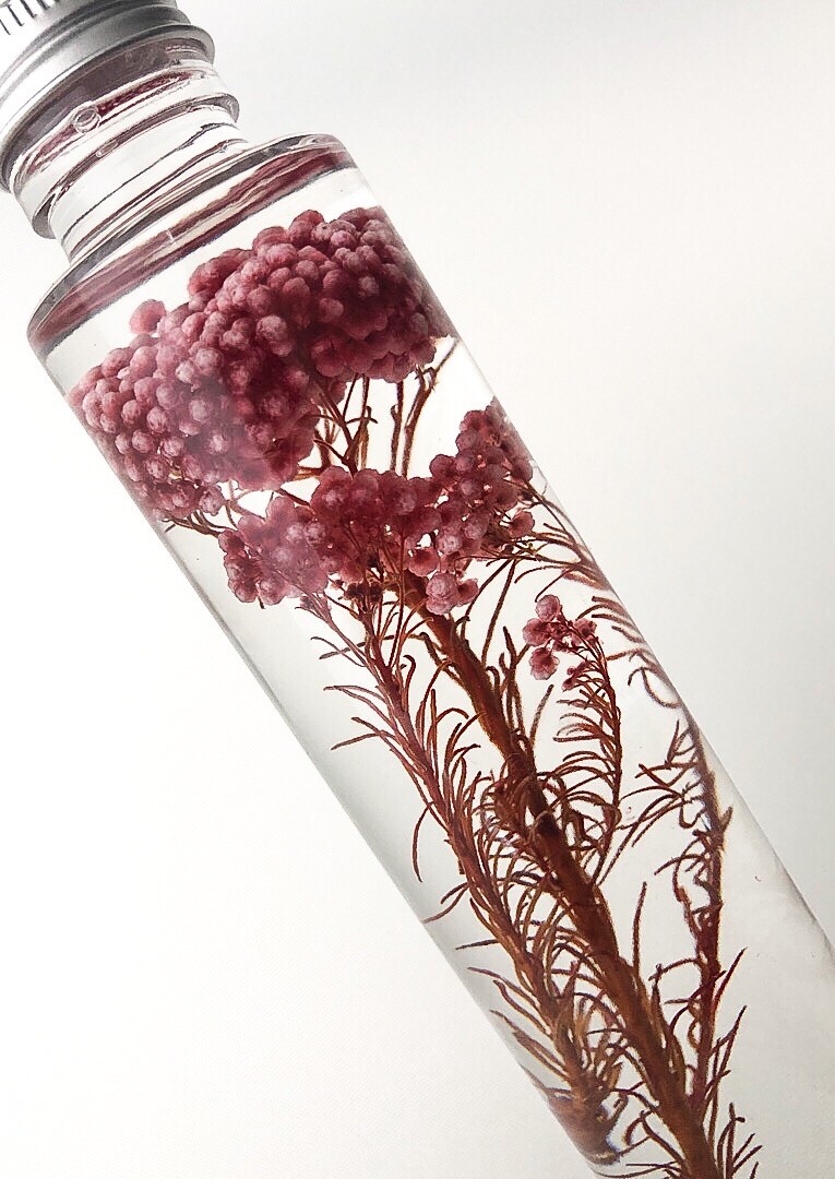 Preserved Flowers, Table Centerpiece, Home Decoration Gift – The Rice Flower