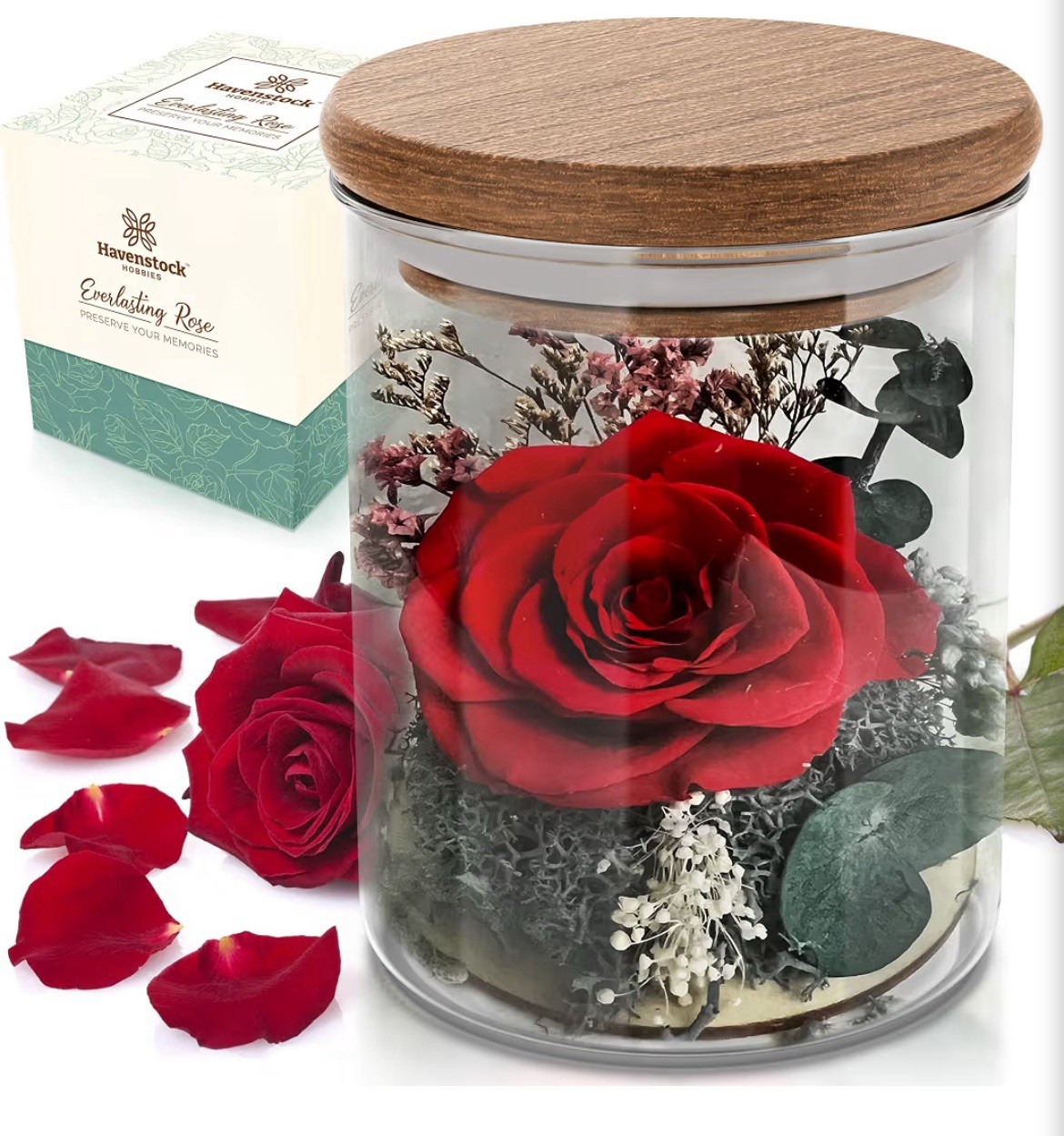 Havenstock Hobbies Everlasting Preserved Real Red Rose Glass Jar Acacia Lid