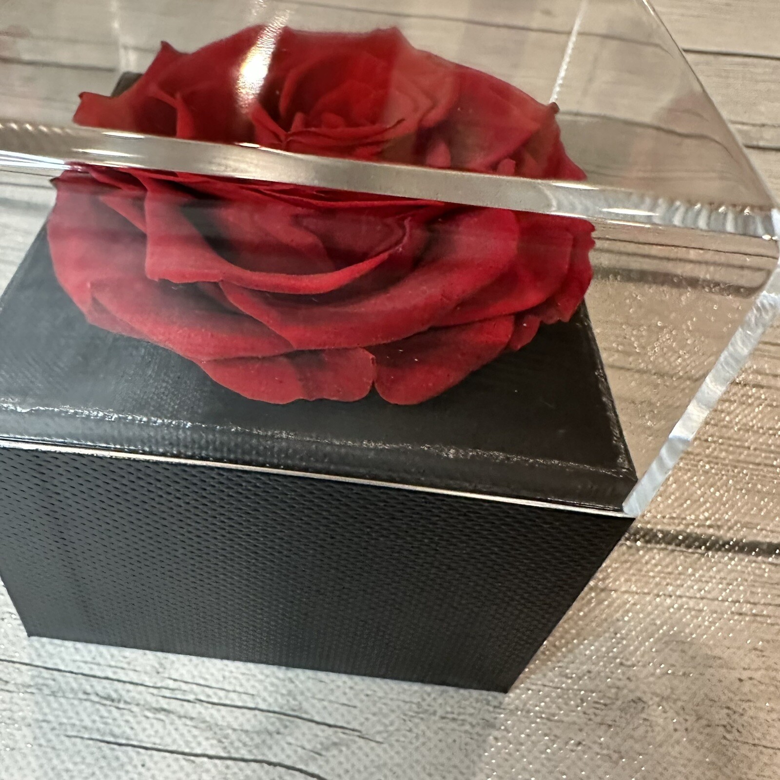REAL Preserved Eternity Forever Rose Luxury Box Holiday Wedding Gift & Necklace