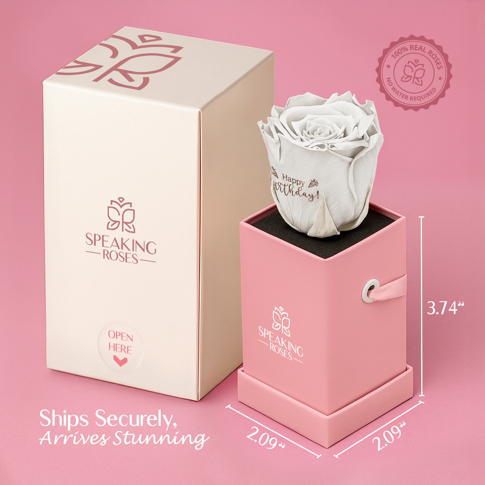 Speaking Roses Preserved Rose in Gift Box | “Happy birthday!” Message