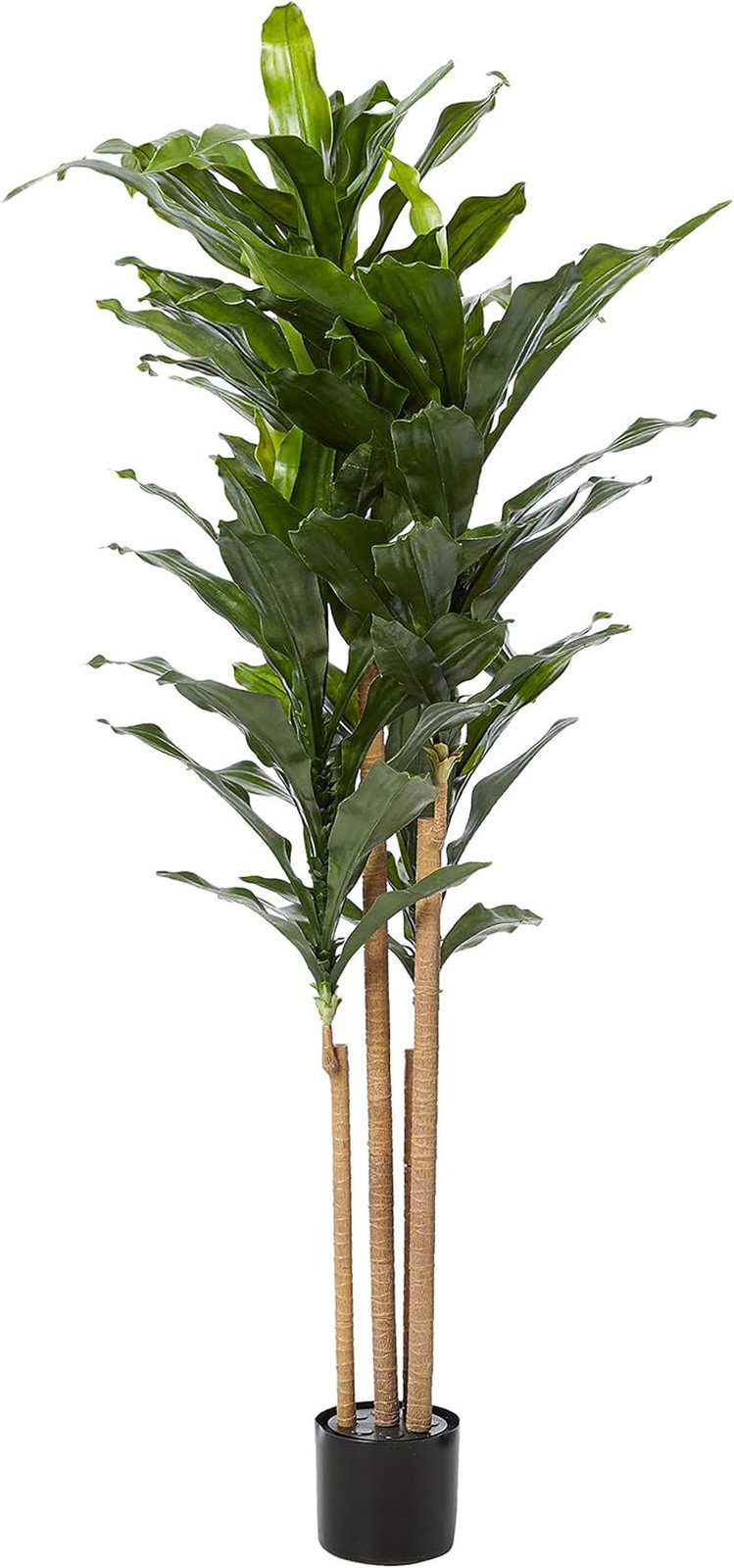 Vibrant 5Ft. UV Resistant Dracaena Plant for Indoor/Outdoor Decor