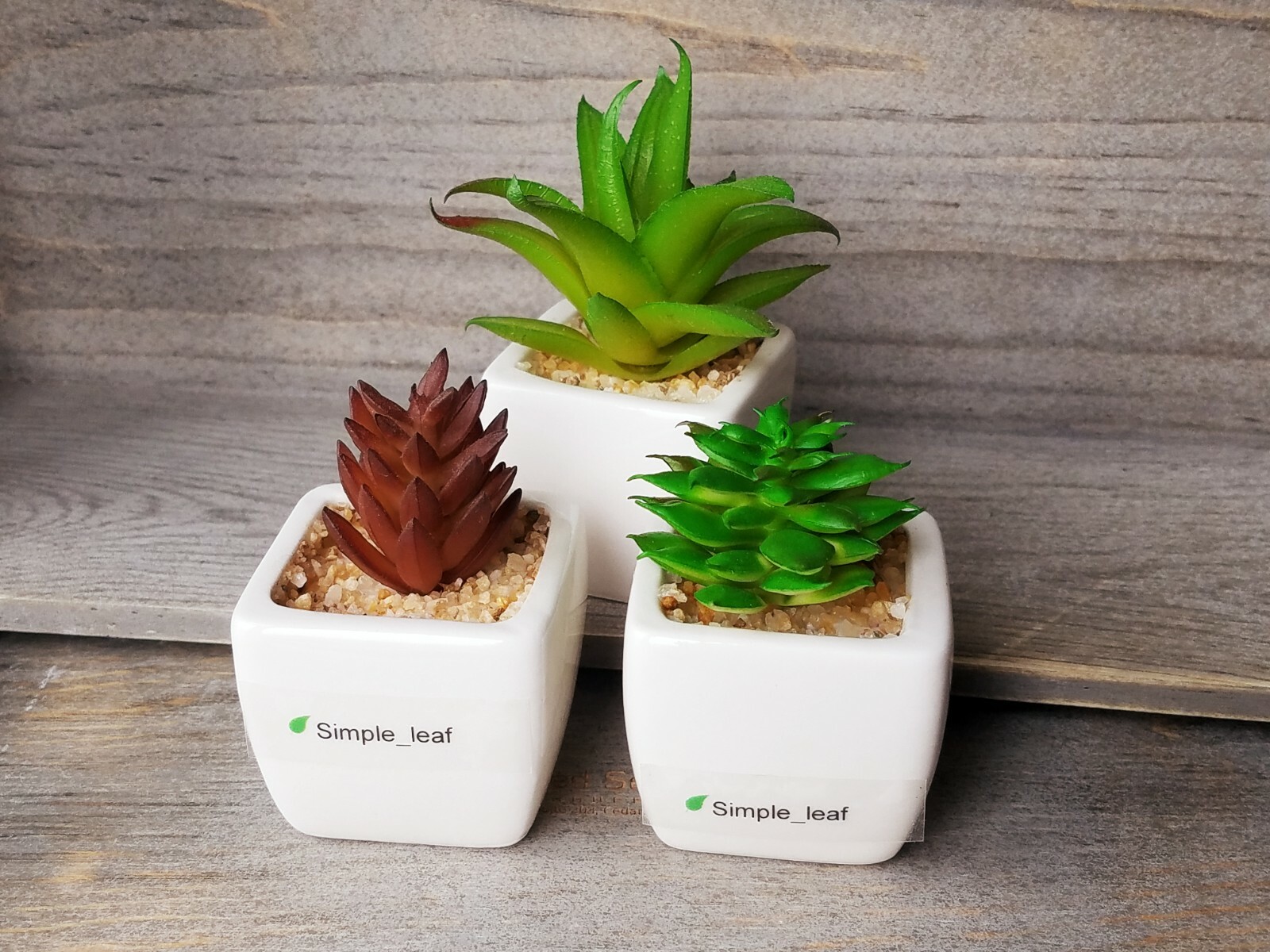 Decor Set – 3 Potted Artificial Succulent, Dried Grass Bouquet in Glass Bottle