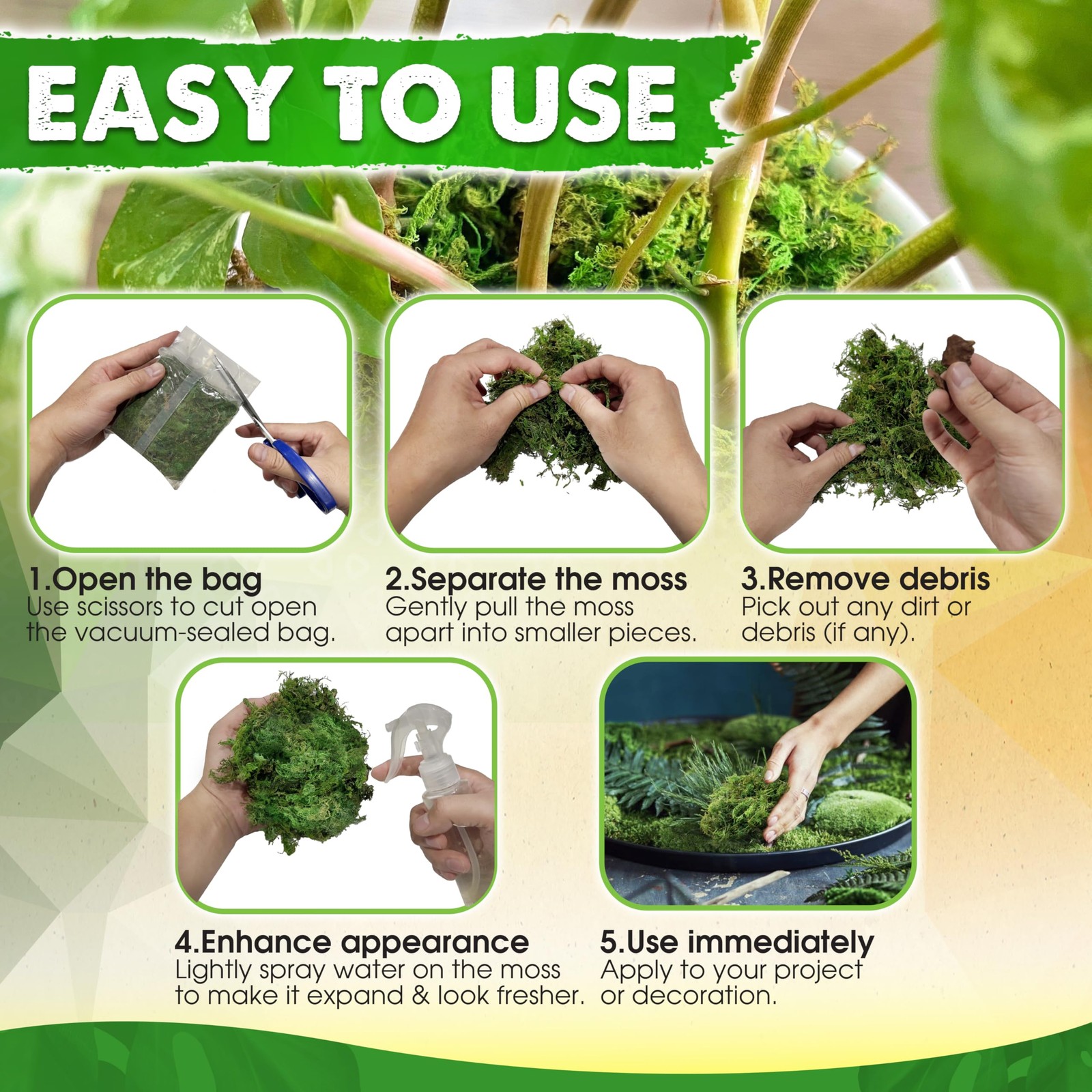 [Upgraded] Green Moss for Crafts, Real Forest Moss Potted Plants, Decorative …