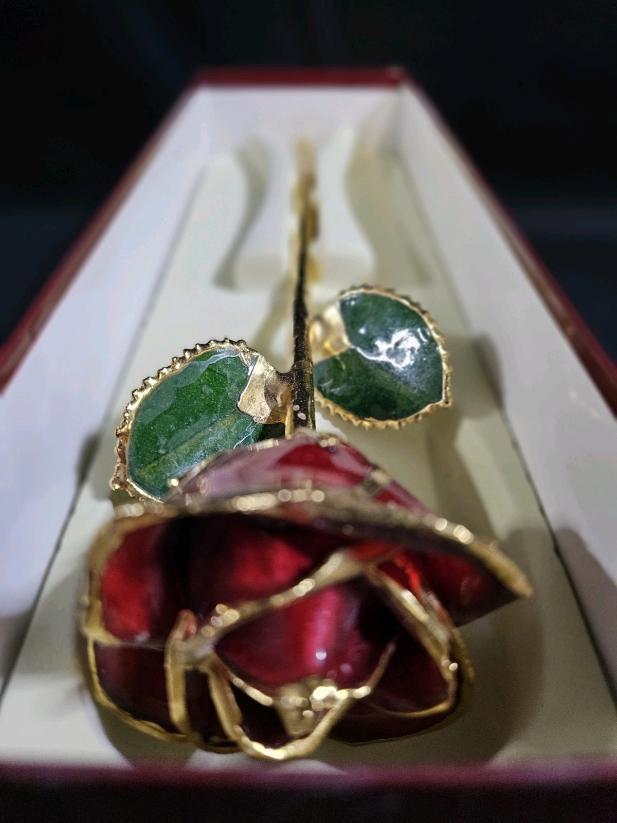 Living Gold Real Rose Dipped in 24k Gold Burgundy February