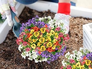 20 Bundles Artificial Fake Pansy Flowers for Outdoor | Yellow, White, Purple,