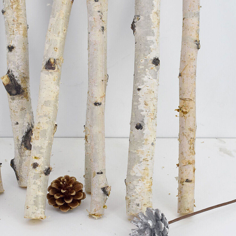 1Pc Natural Dried Tree Branch Birch Stick Flower Home Garden Party Floral Decor