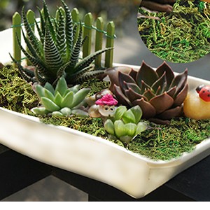 Fake Moss Artificial Moss for Potted Plants Greenery Moss(4OZ) Home Decor Fairy