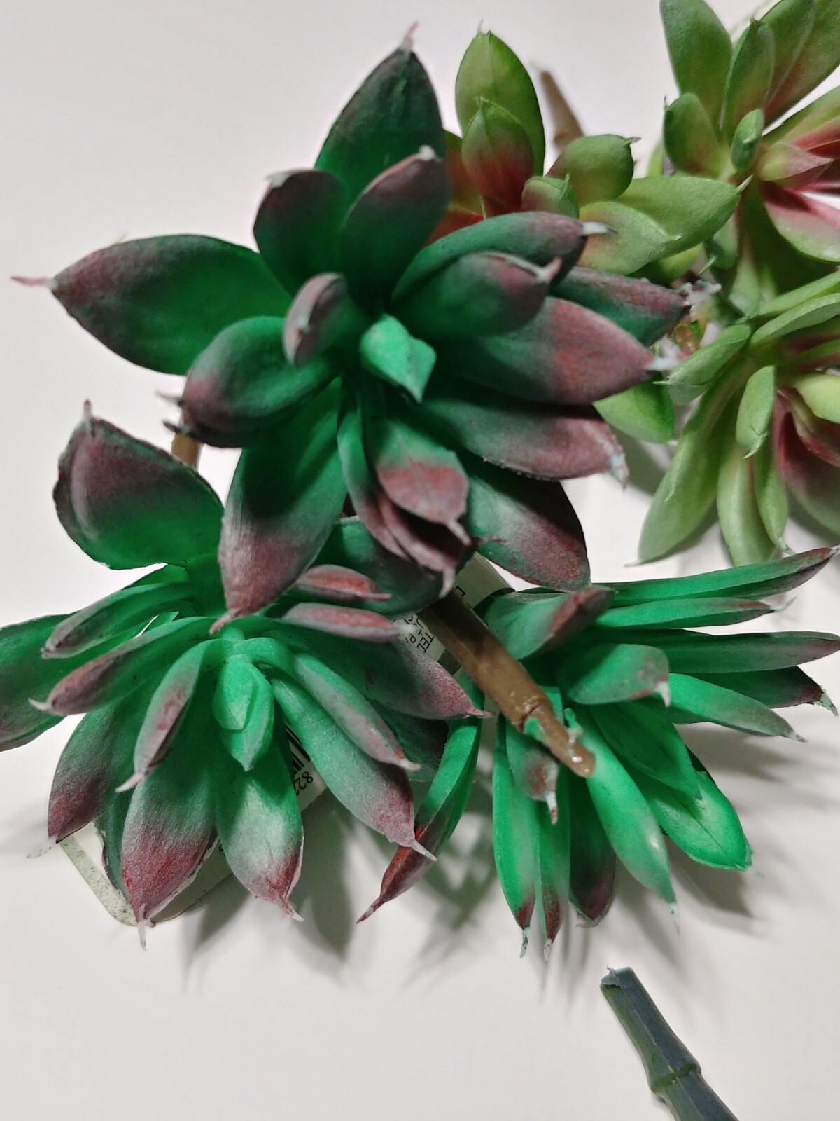 Lot of 16 Ashland Succulents Greenery Floral Picks Sizes 1.5″ to 11″ Craft Decor