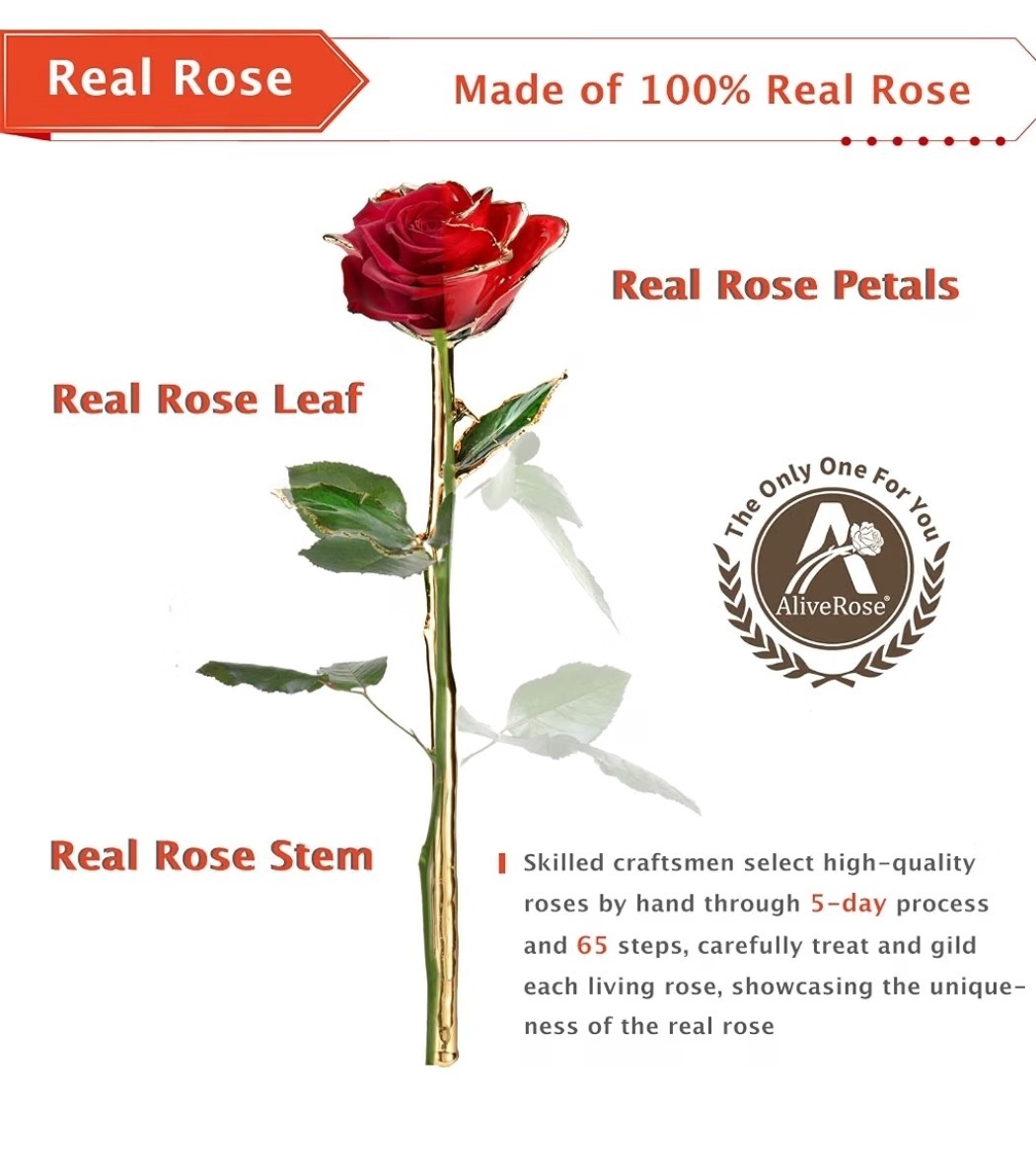 24K Gold Rose, Gold Dipped Rose Made from Real Rose Best Gifts for her and Gr…