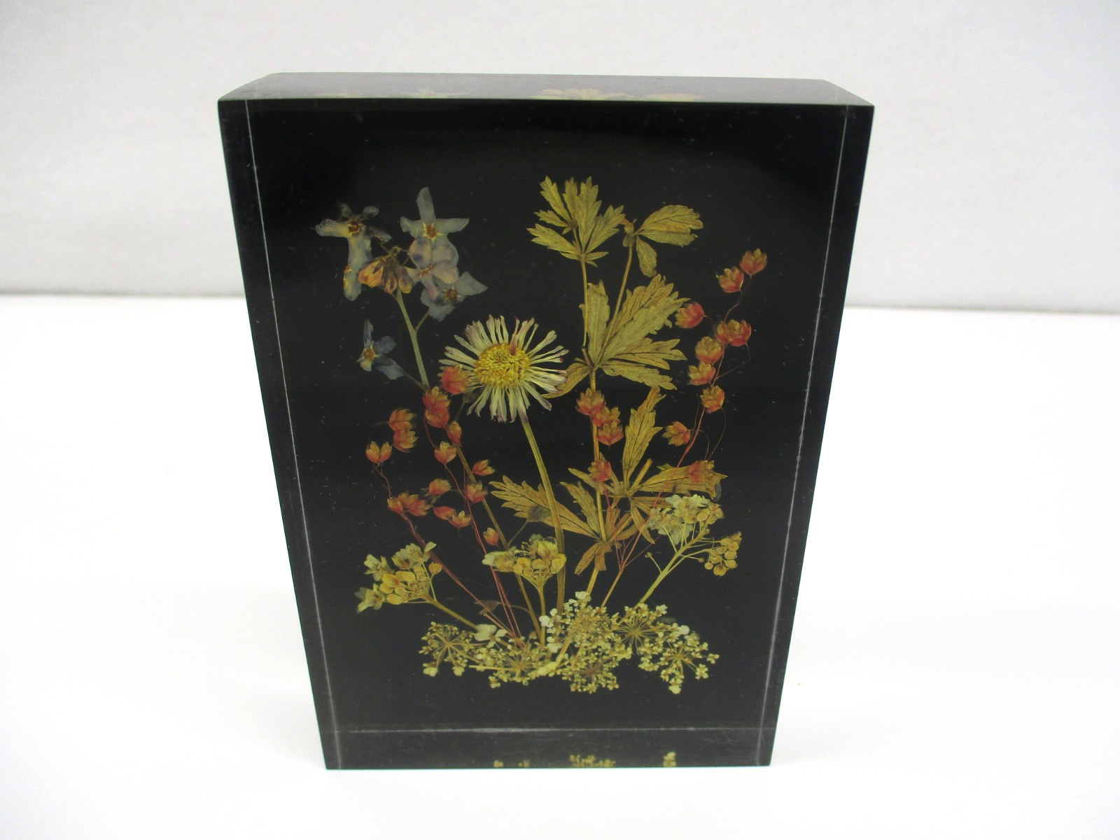 Vtg Lucite Pressed Dried Flowers DINA-Brilliant #1710 10×7 cm W. Germany Picture