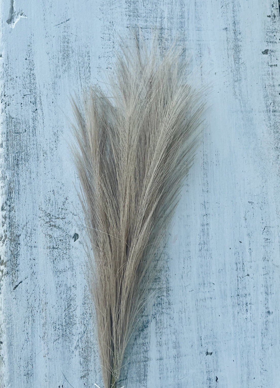 Pampas Grass Pick, 28” Bundle Of 3 Boho Fall Autumn Harvest Home Decor NEW