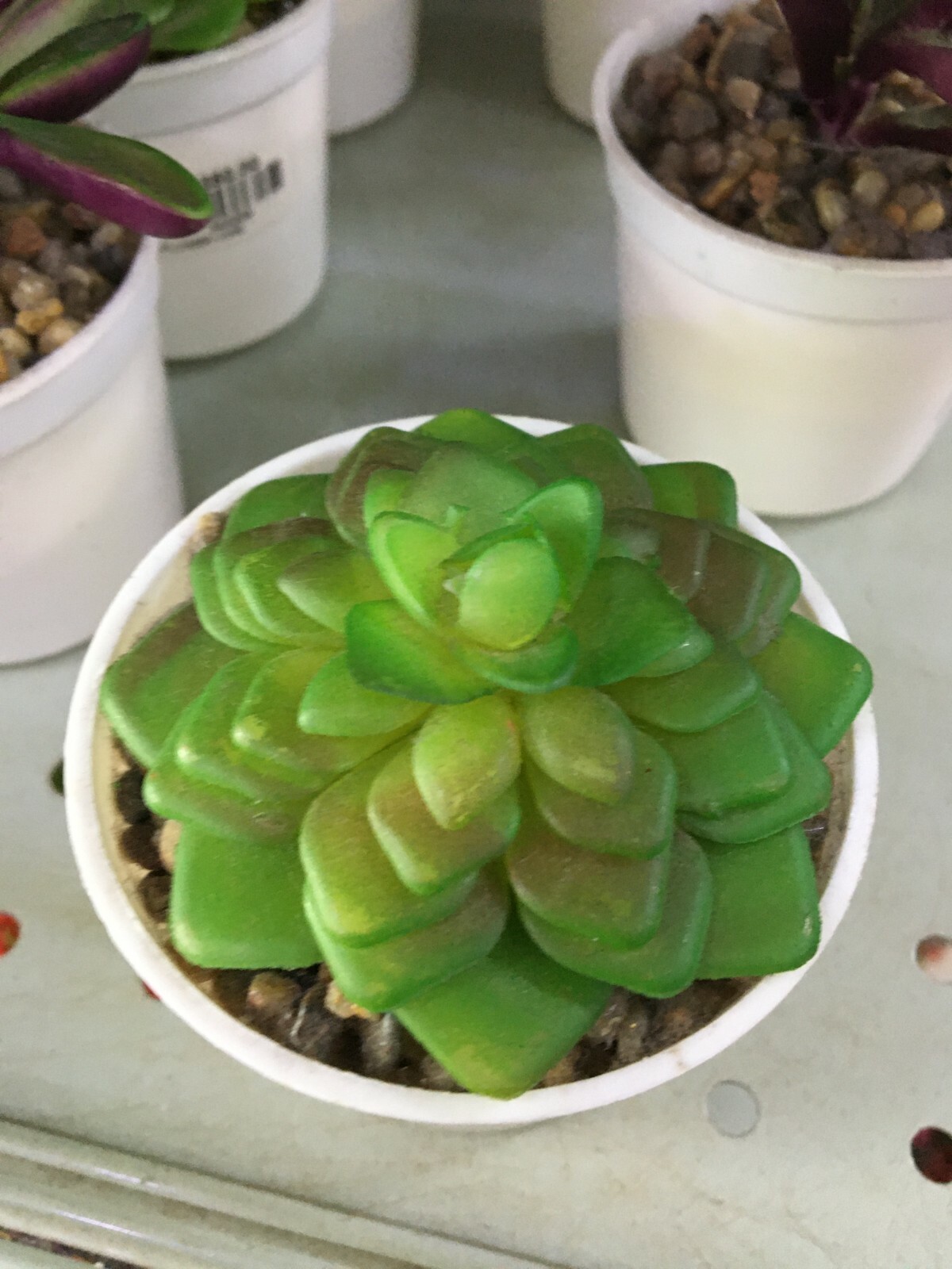 Artificial Plastic Small Water Dust Proof Cactus Tree Pot
