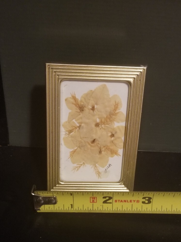 Small 2 3/8″ X 3 3/8″ Press Dried Flower #10 Yellow Framed FF25
