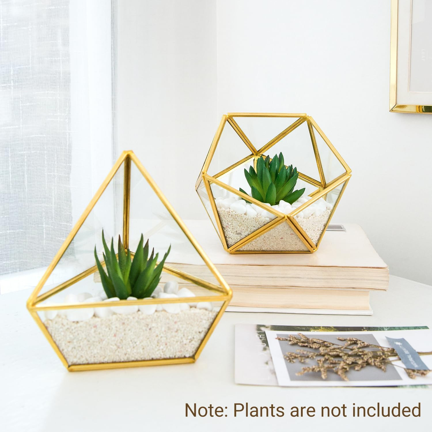 4 Inches Mini Glass Geometric Terrarium Container Set of 3 Modern Tabletop Plant