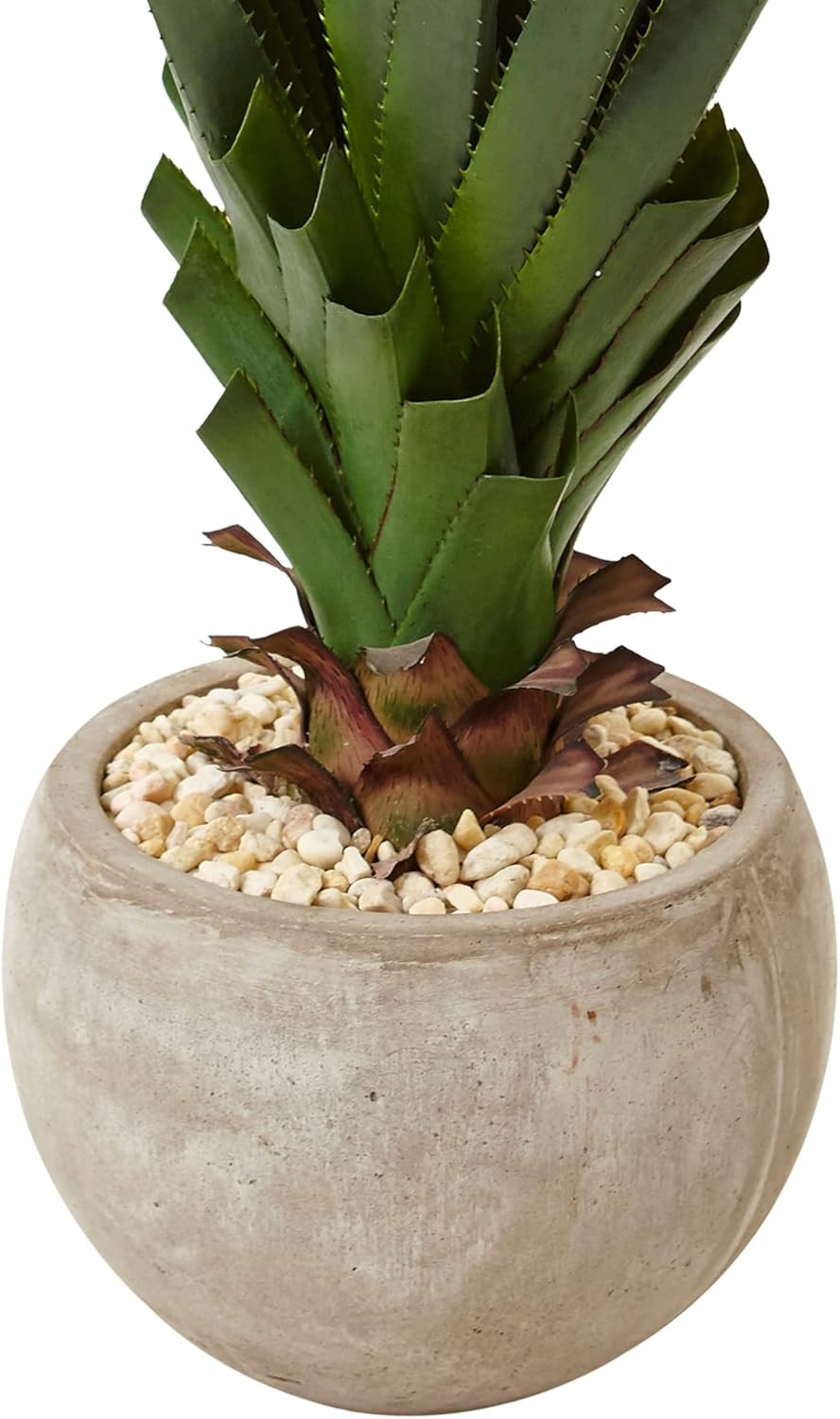 Spiked Agave Plant in Sand Bowl – Perfect for Indoor/Outdoor Decor