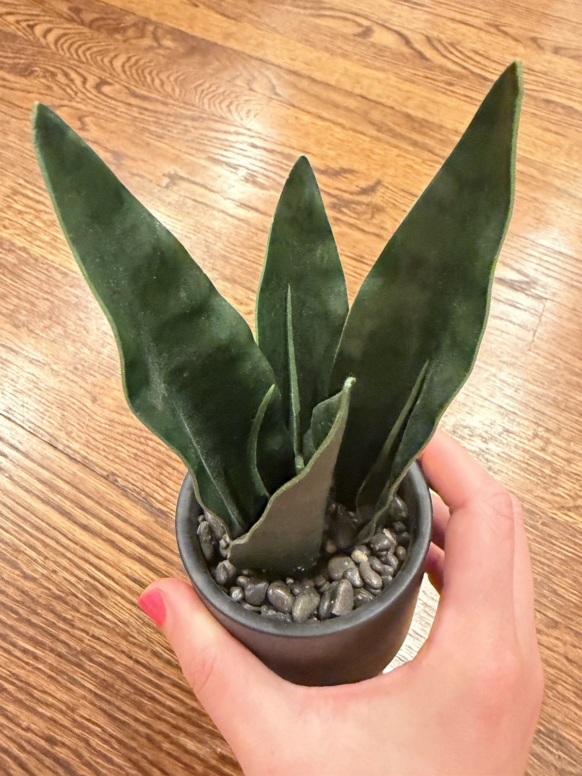 Artificial Snake Plant Houseplant in Black Pot w/ Wood Base, Pebbles, 8 in