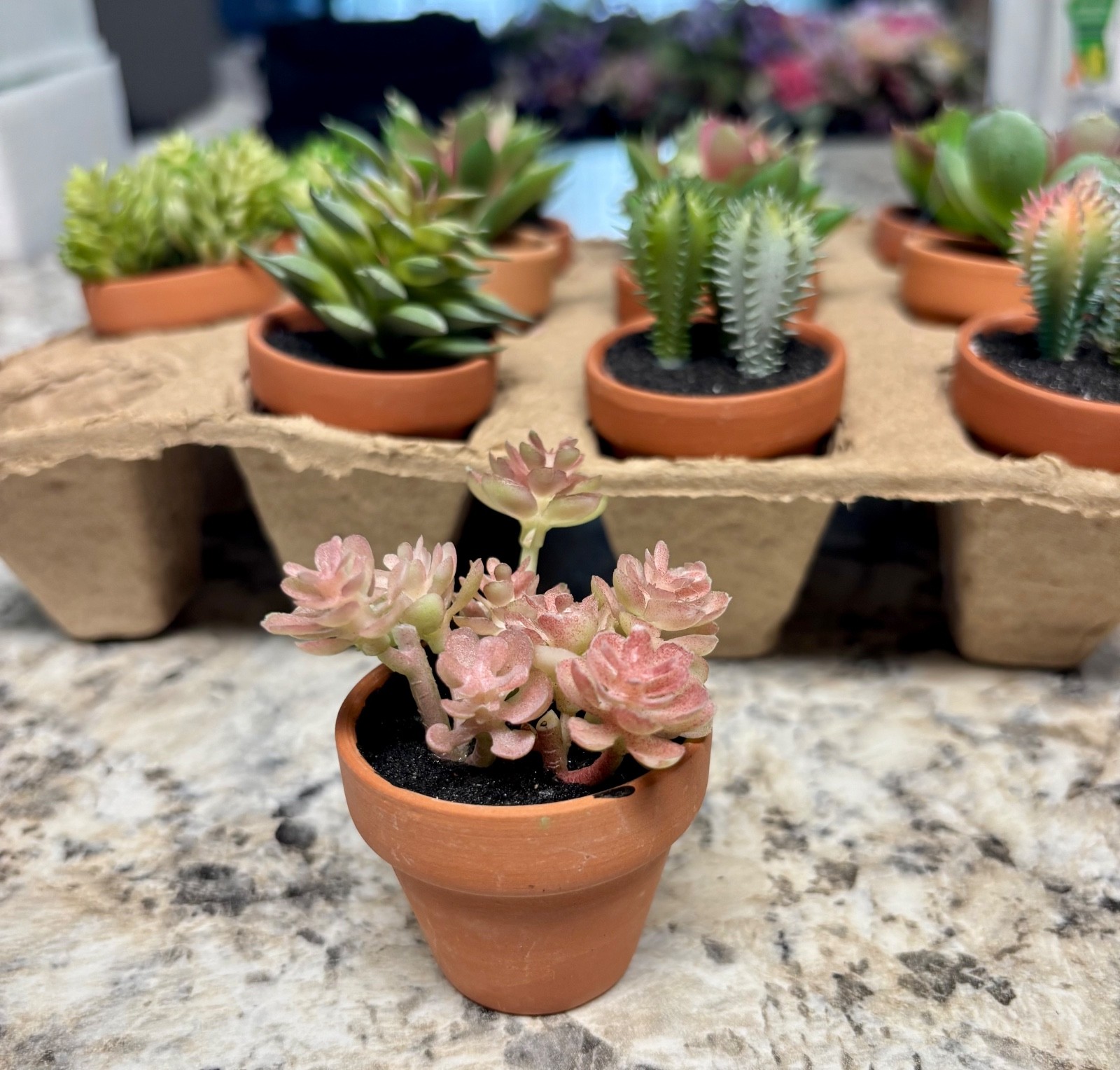 12 Small Artificial Succulents- Assorted Green and Pink Colors in pots