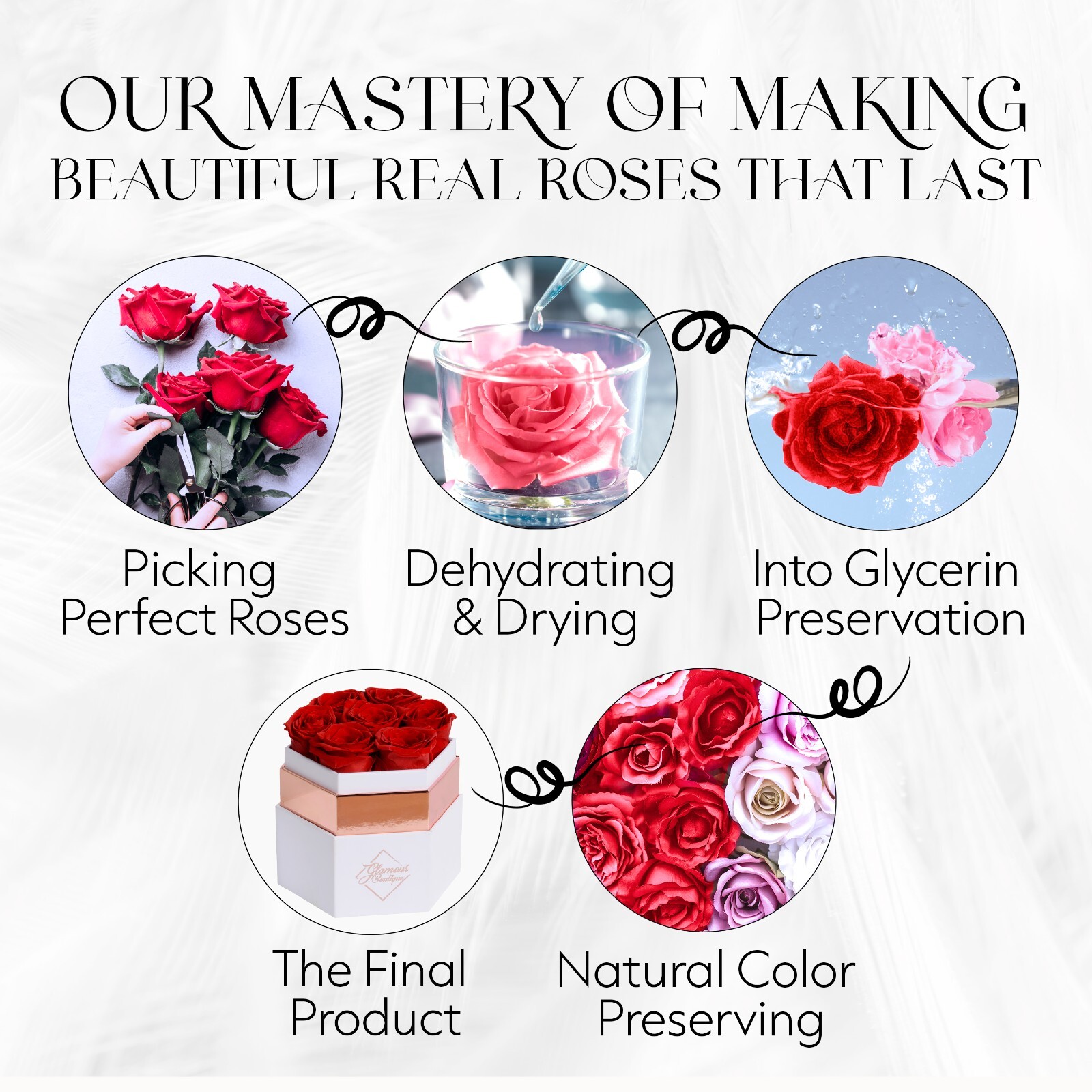 Glamour Boutique Hexagon 7-Piece Forever Real Rose – Preserved Roses in a Box