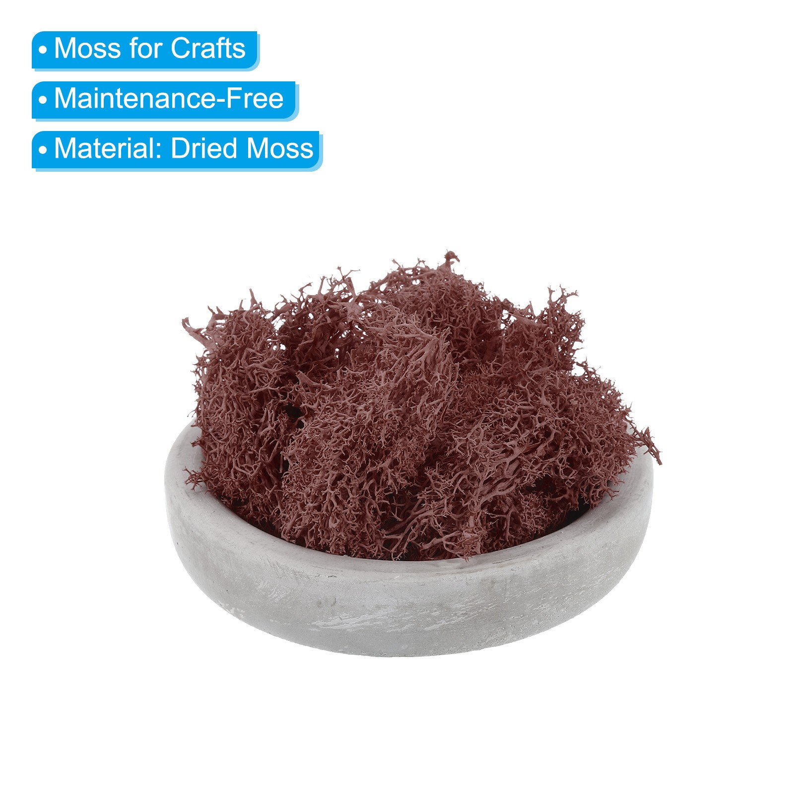 1.8 OZ Fake Moss Preserved Reindeer Moss Artificial Moss Lichen Centerpieces Red