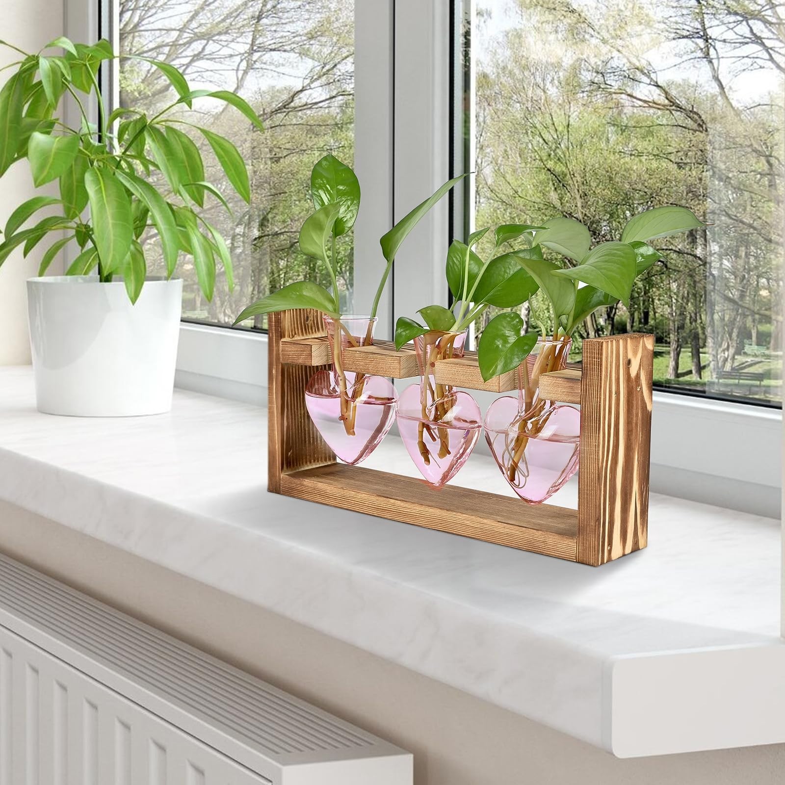 Heart Shaped Glass Vase Plant Terrarium Hydroponics Station with Wooden Stand –