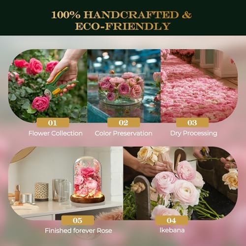 LED Glass Dome Flower Light – Long-Lasting Real Flower Gift for Women, Moms & Fr