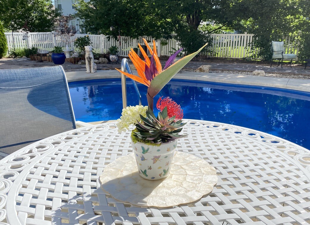 Decorative Planter with Dragon Flowers and Tropical Flowers in Butterfly Pot