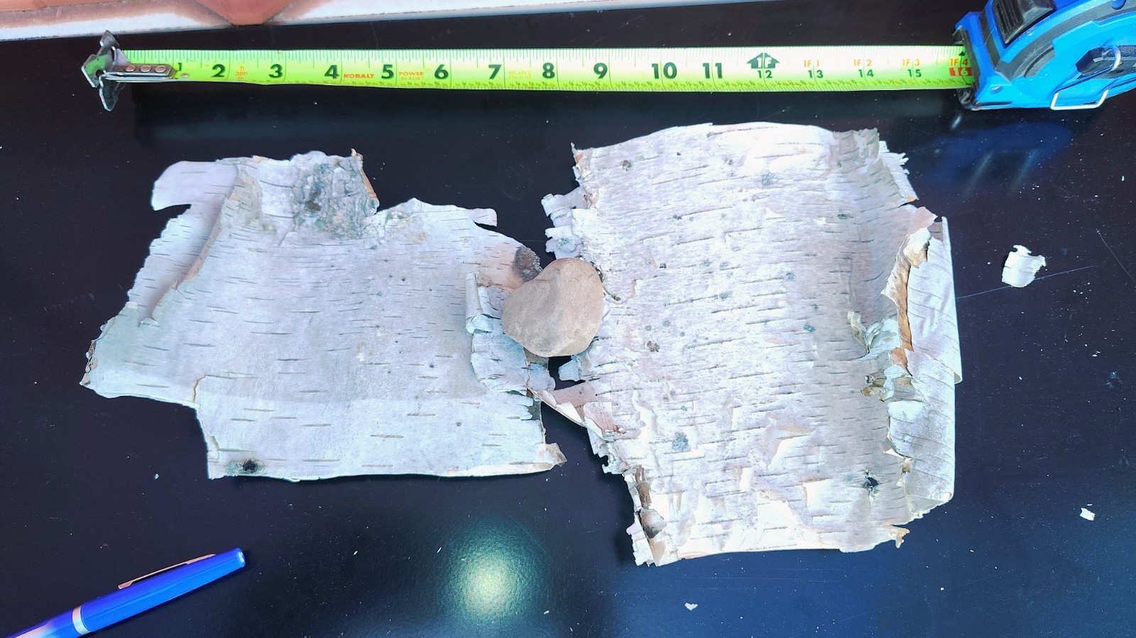 3 pieces 0f Natural White Birch Bark Sheets Crafting Holiday Decor