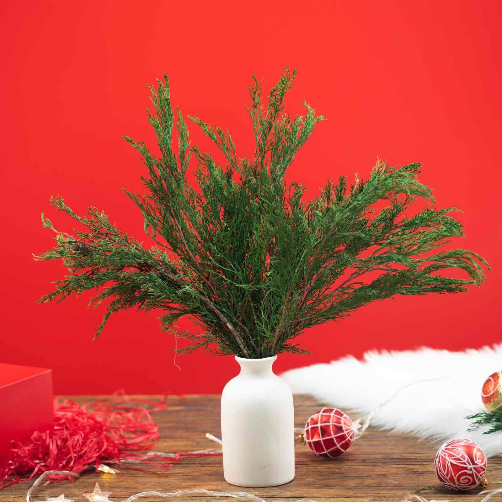 4OZ Preserved Real Pine Leaves Branches -17” Natural Greenery Plants Twigs S…