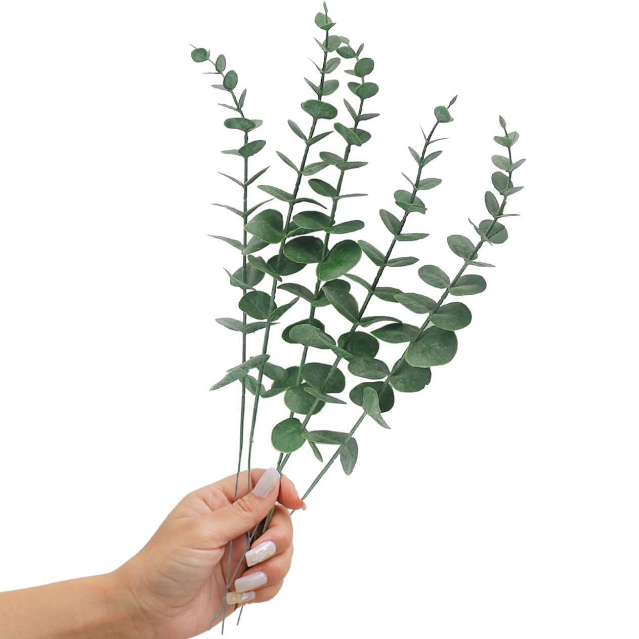 Lifelike Faux Eucalyptus 5 Pack, Real Touch Plastic Leaves for Wedding Bouquet