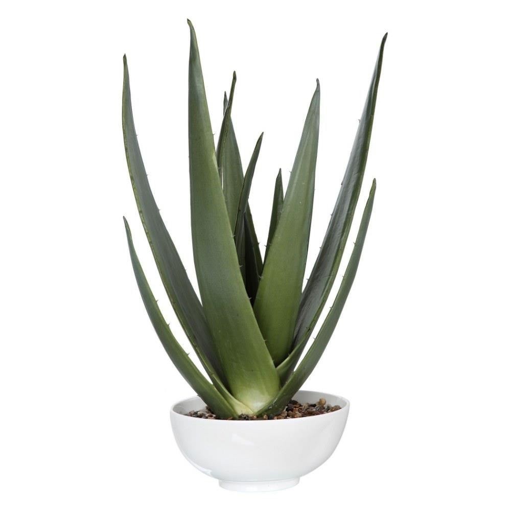 Burnsdale – 30 inch Aloe Planter – Decor – Planters – 208-BEL-4190642 – Bailey