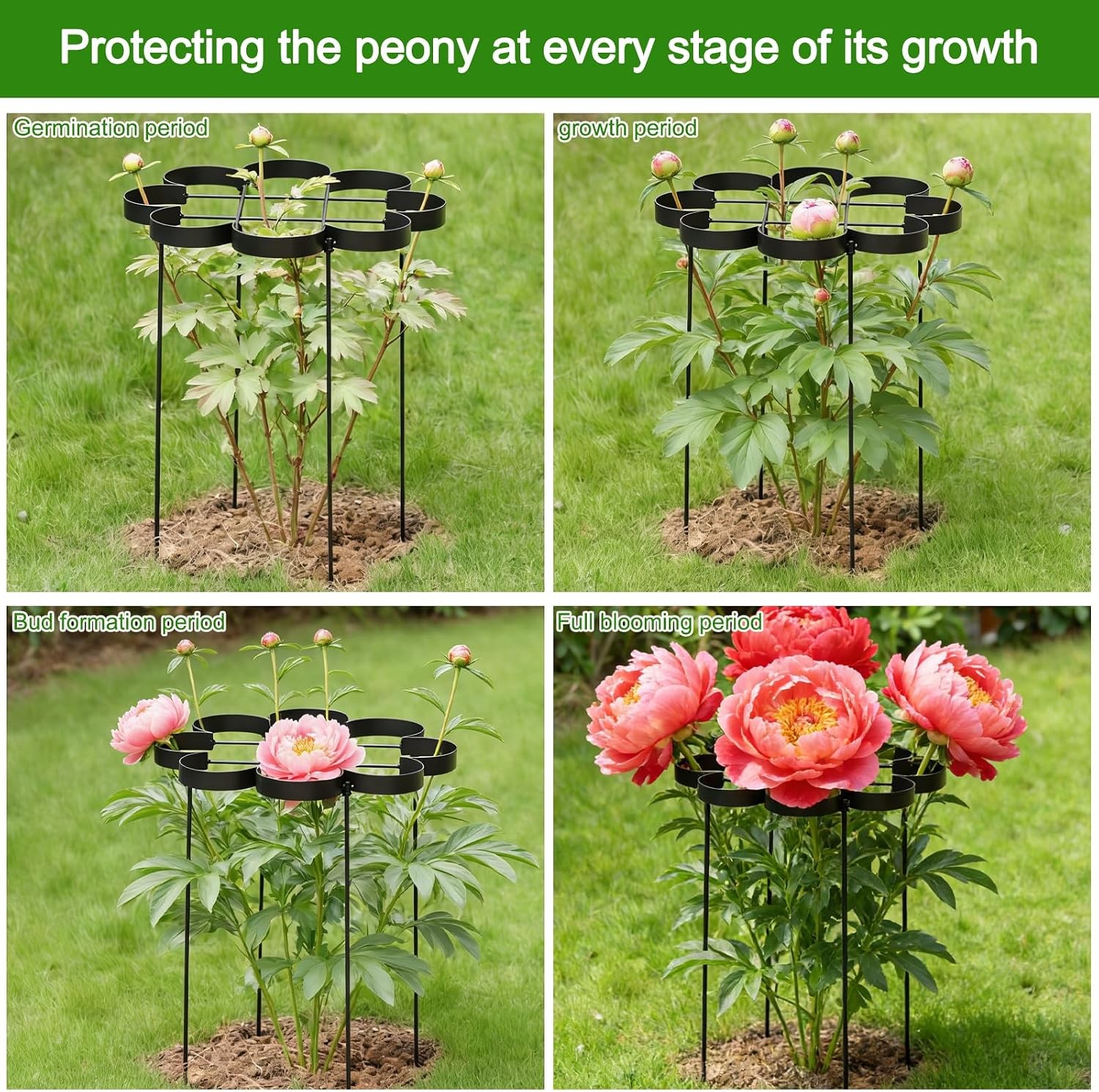 25″ Peony Cages & Supports Elegant Black Modern Flower Support Stakes Peonies