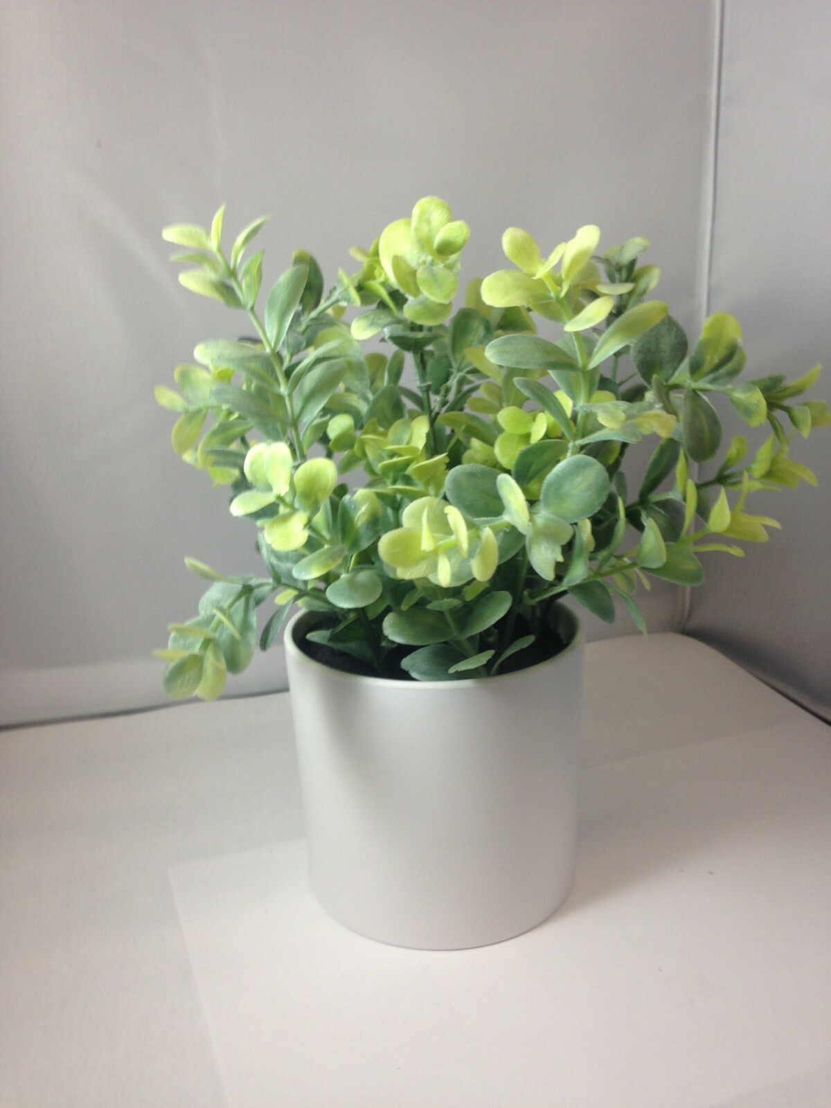10″ x 4″ Artificial Plant Arrangement in Pot Green/White – Project 62