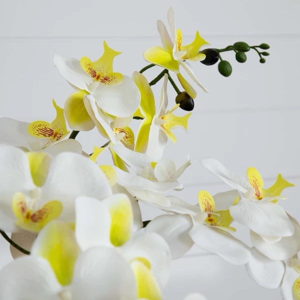 23” Artificial Phalaenopsis Orchid Arrangement in Ceramic Planter (Real Touch)
