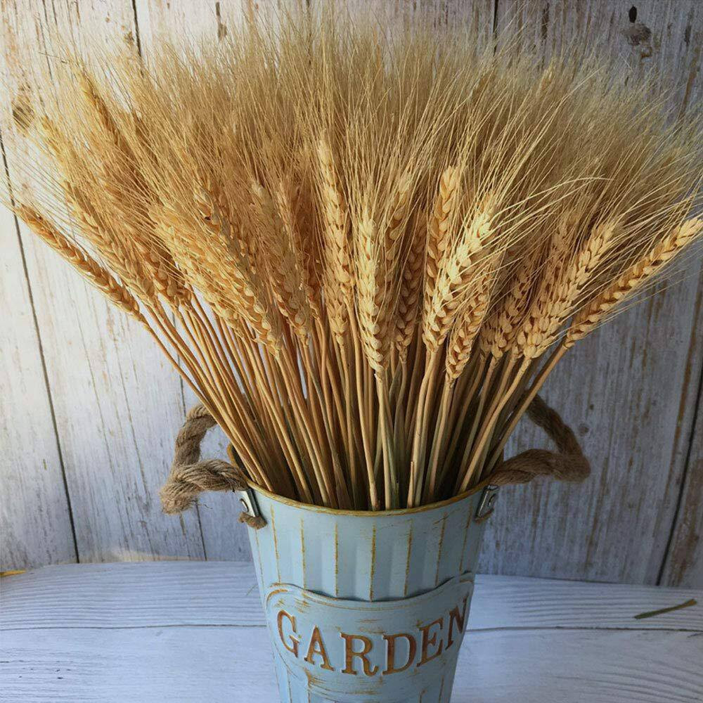 2.2 In. Farmhouse Natural Wheat Stalks 100 Pieces Gold Artificial Plant Home Tab