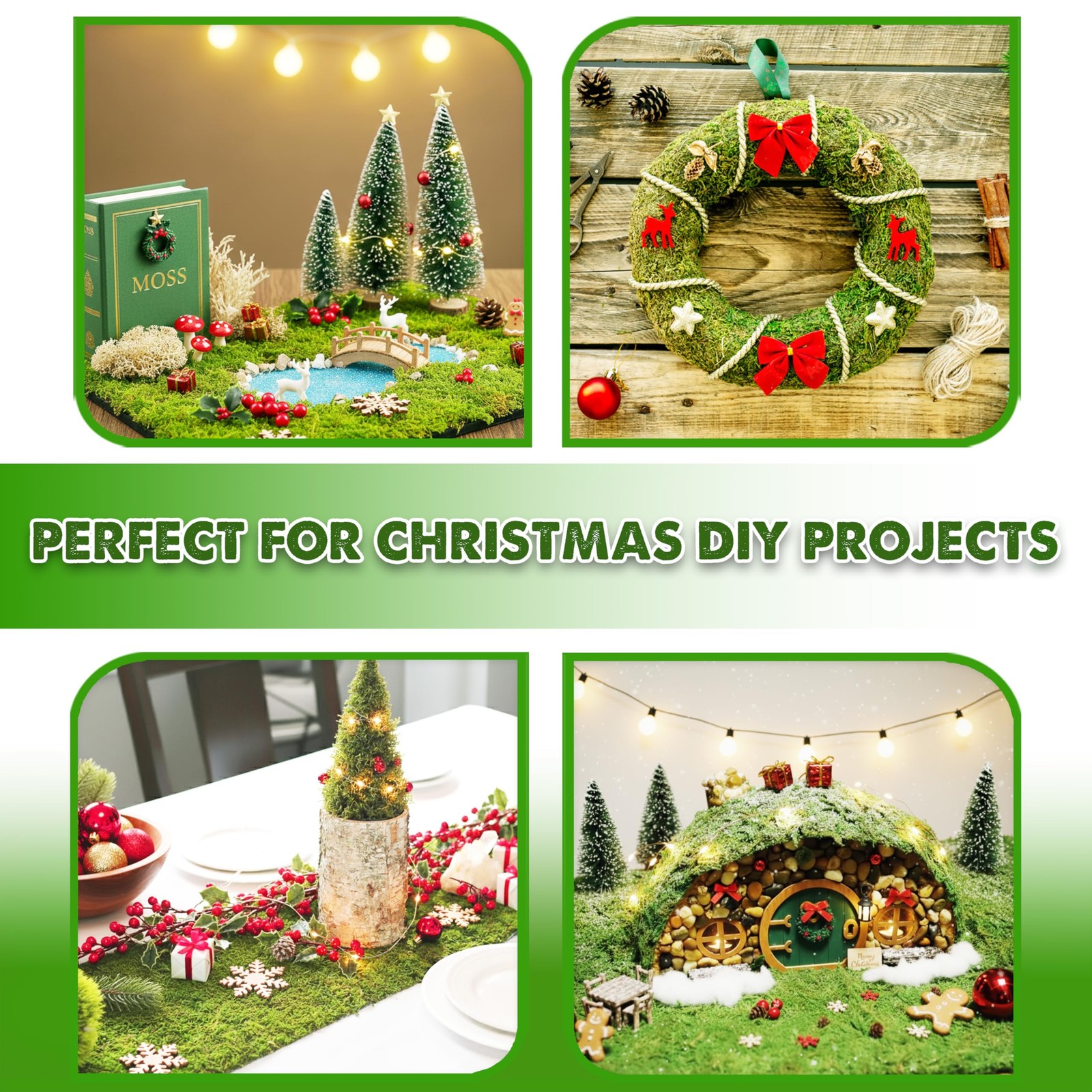 [Upgraded] Green Moss for Crafts, Real Forest Moss Potted Plants, Decorative …