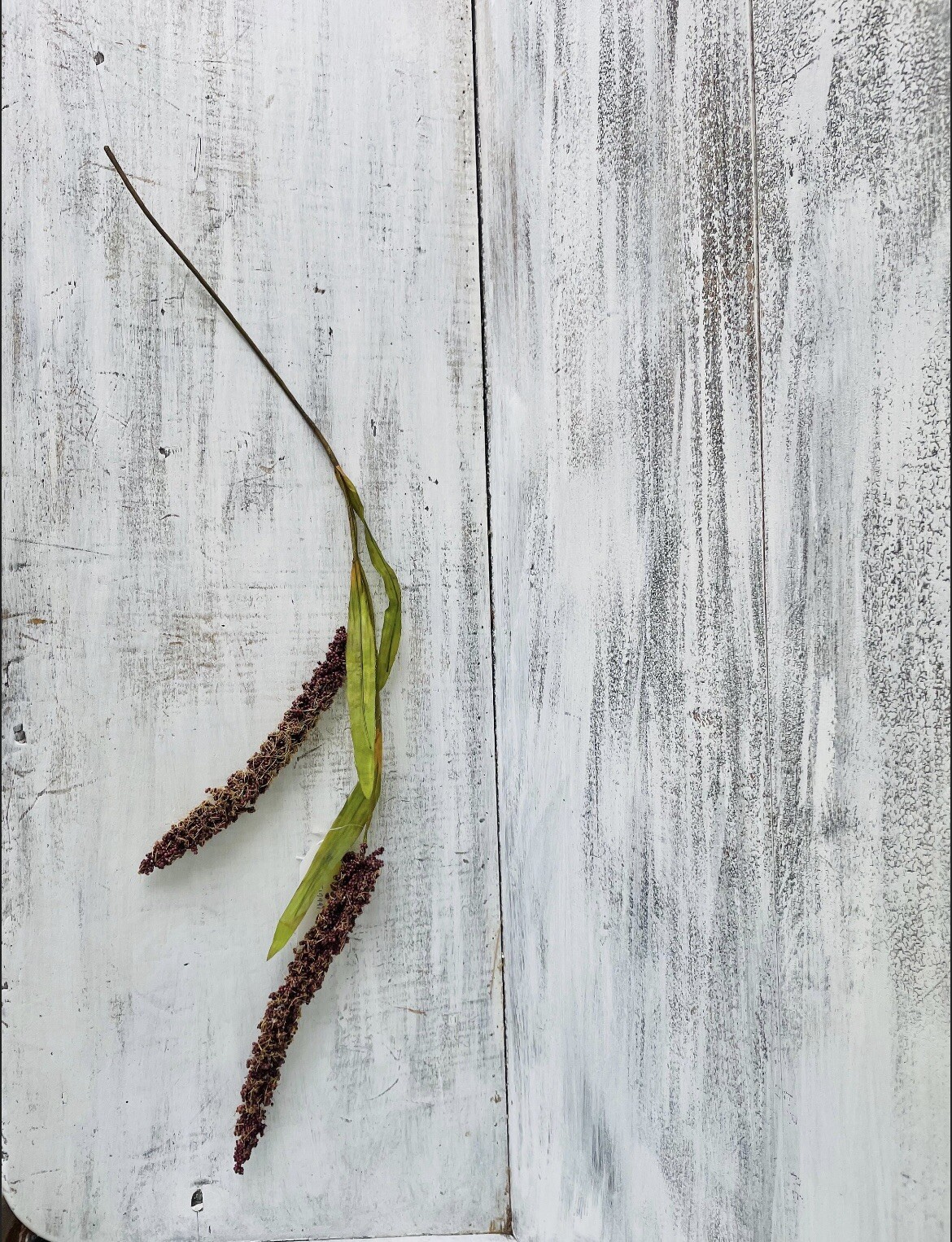 Burgundy Millet Stem, Bundle Of 3, NEW