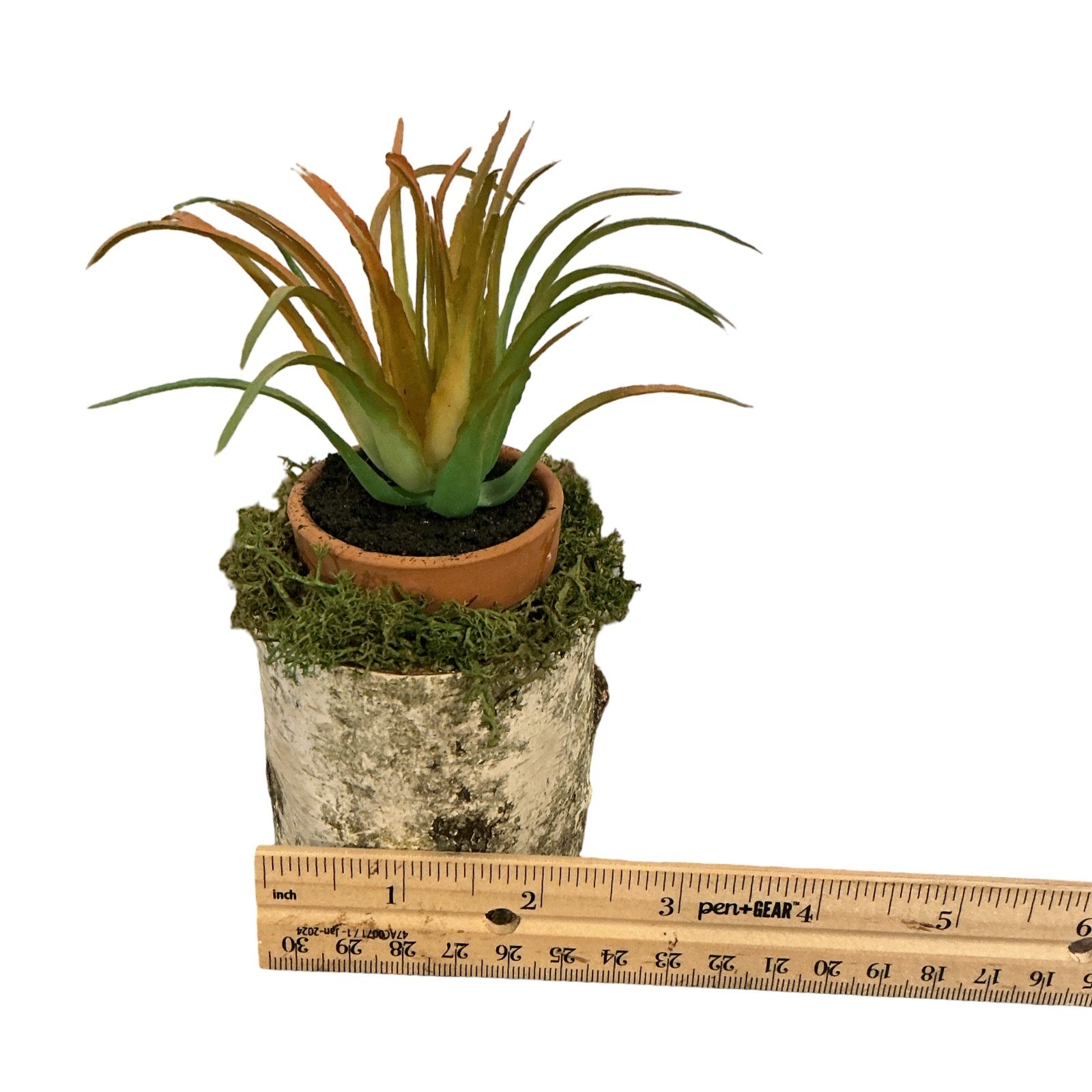 Handmade Artificial Succulent in Birch Log with Moss Rustic Woodland Home Decor