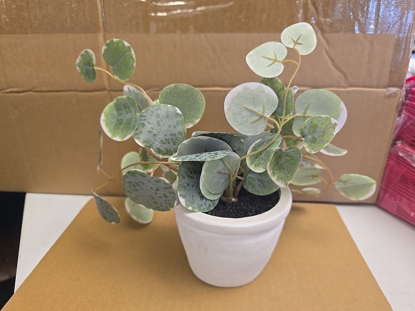 13100 Threshold Potted Veragated Plant Faux 7” Decorative Indoor Plant New