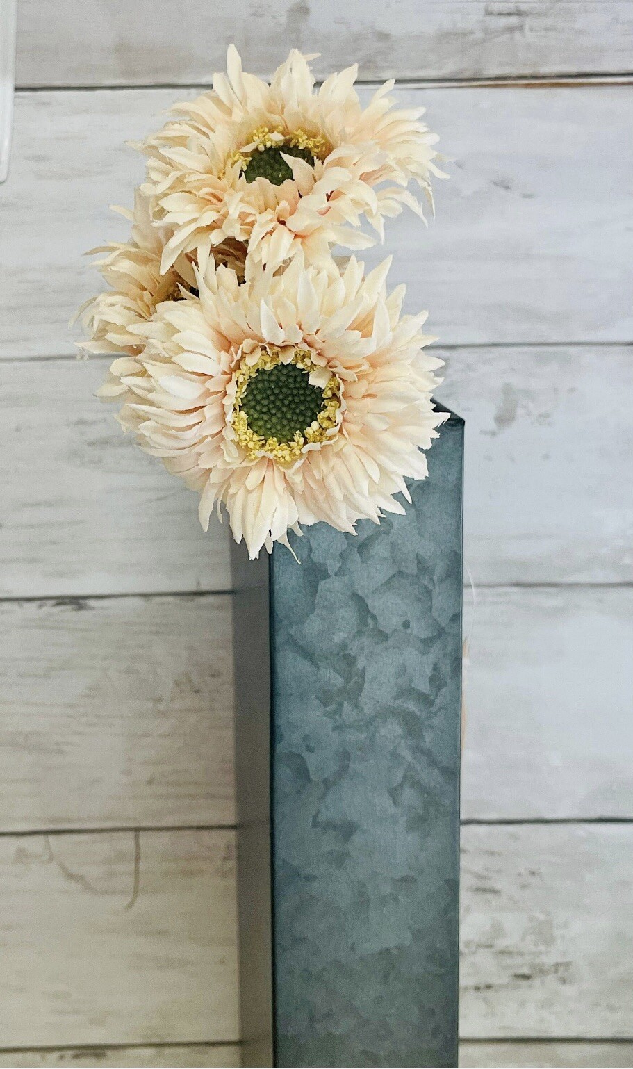 Triple Gerbera Daisy Bouquet, Cream Pink NEW