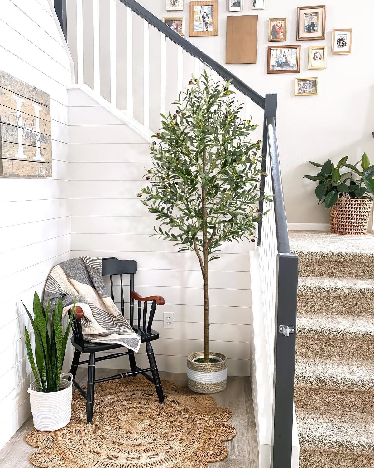 Artificial Olive Tree 5.5FT Faux Indoor Decorative Plant | Tall Trees with Pl…