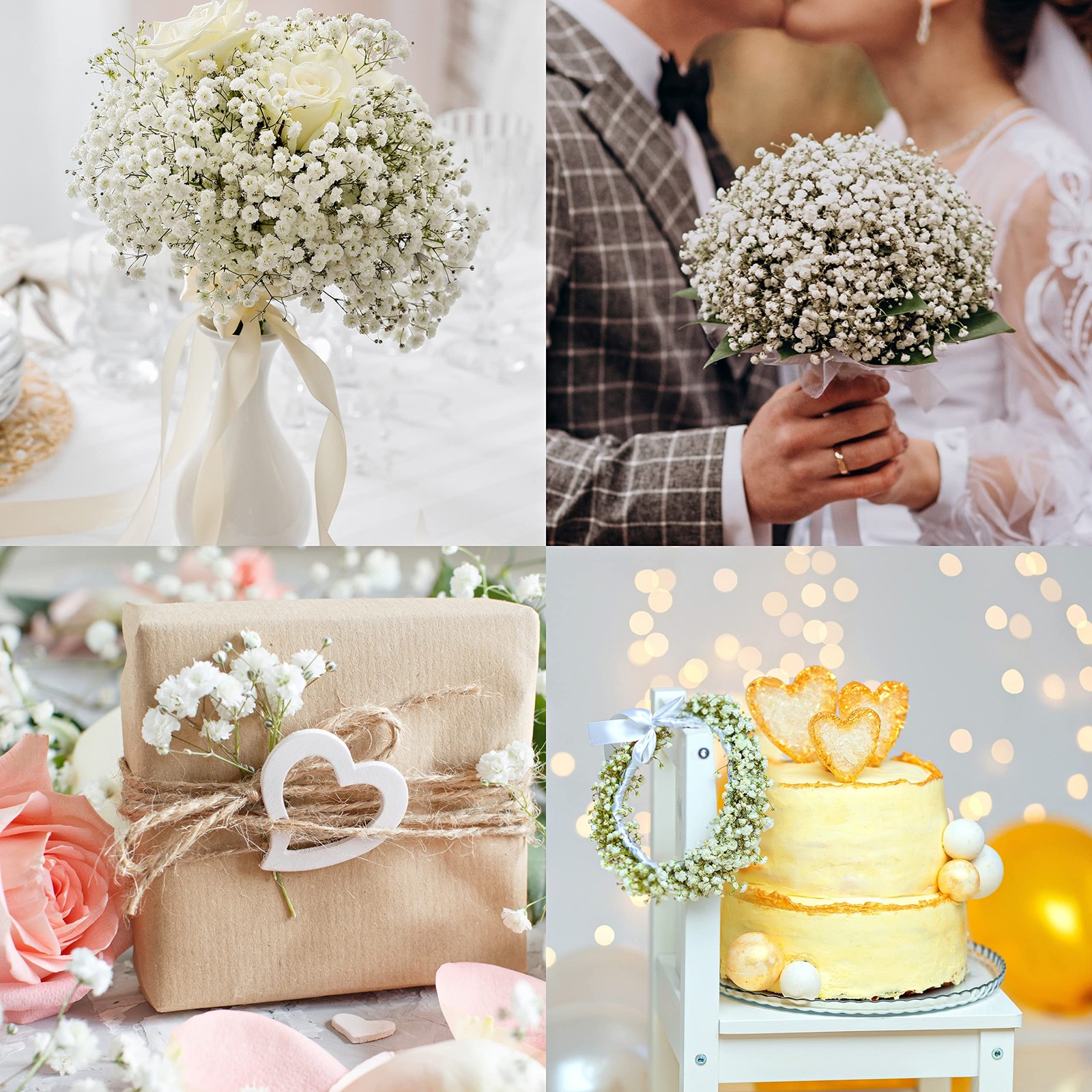 Preserved Baby’s Breath 3 Bunches, 100% Natrual Fresh Gypsophila Long Lasting…