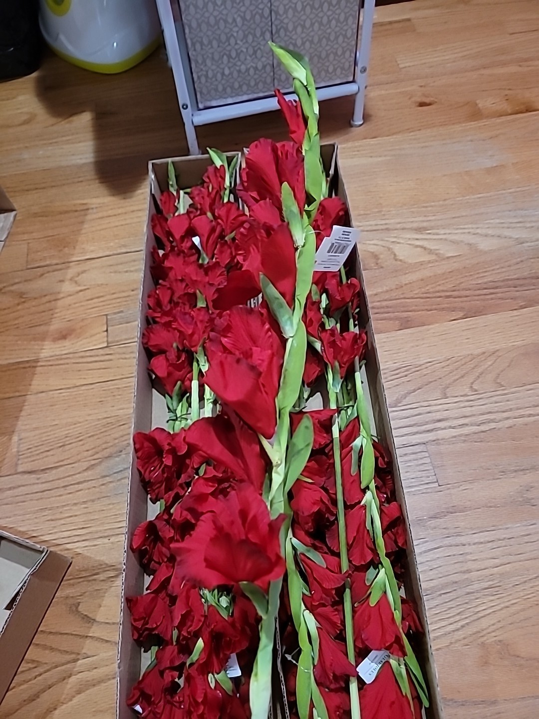 6 Pk Artificial Red Gladiolus Flowers Stem approx 36 inch long By Better Homes