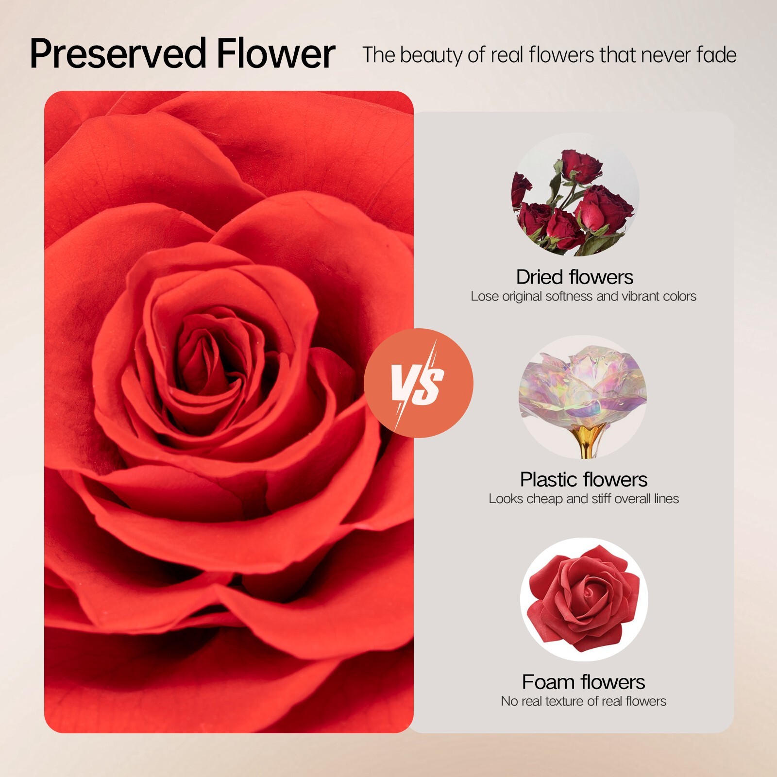 Lasting 3 to 5 Years Forever Fresh Flower Preserved Rose Eternal Gift for Womens