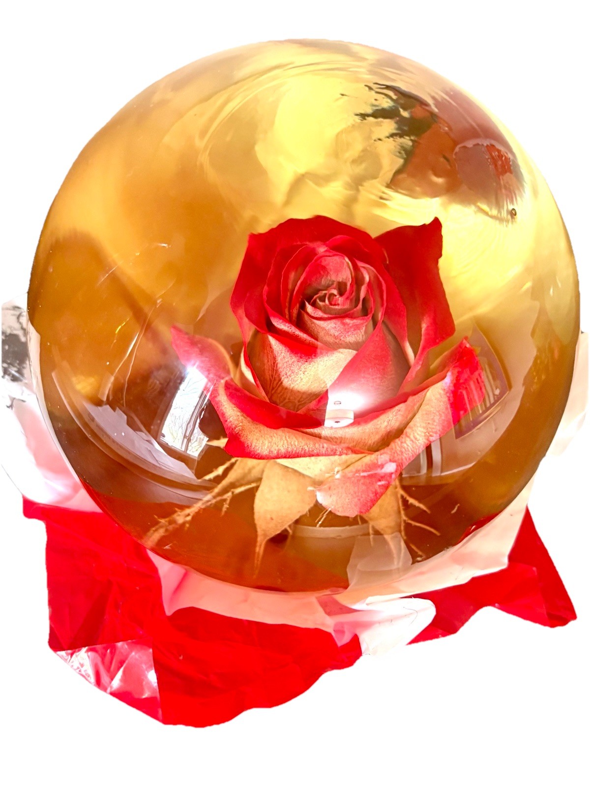 Vtg Forever Red Rose Preserved in Glass Water Globe Romantic Retro Gift Decor 7”