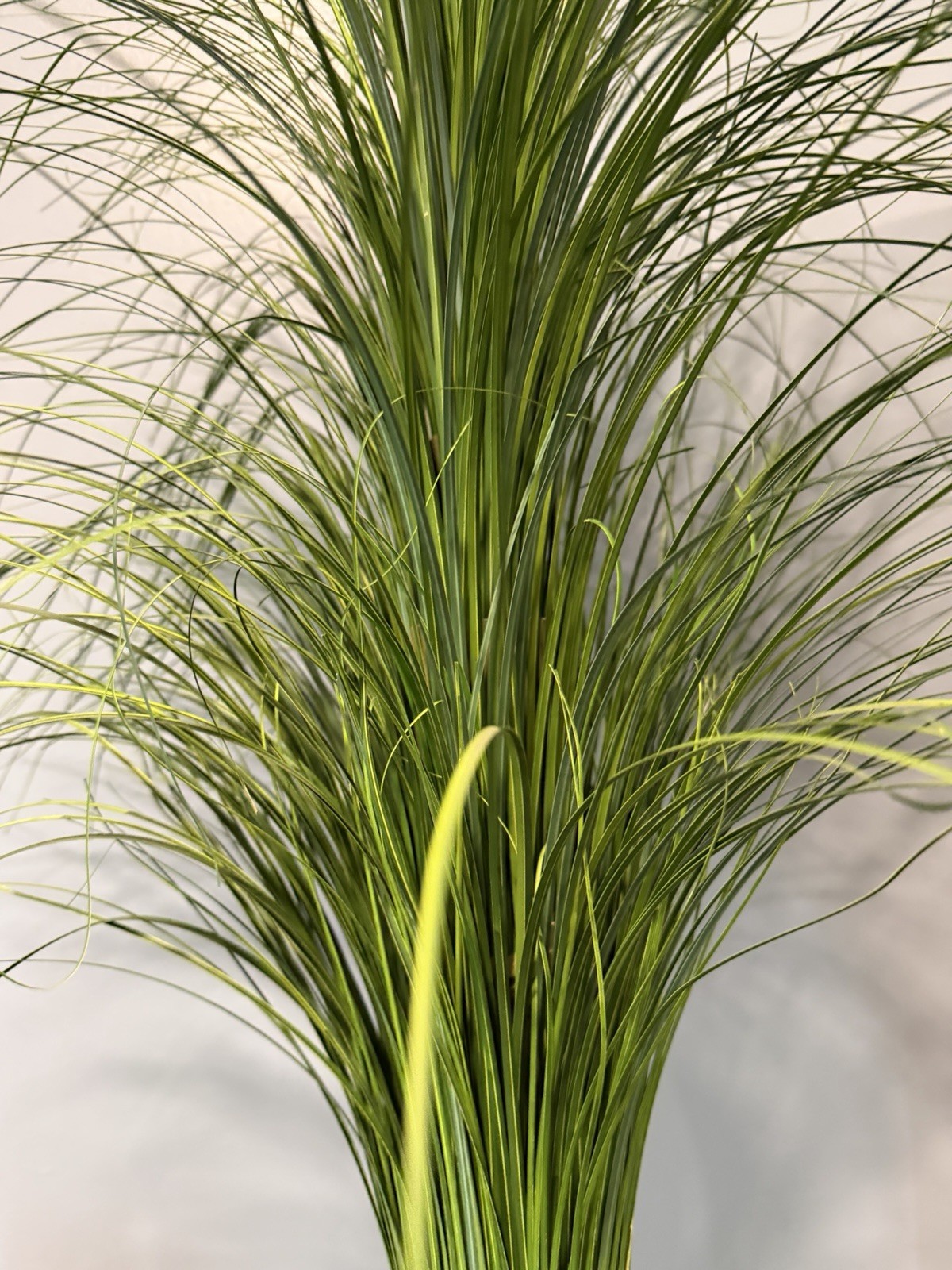 Large 35” Artificial Deorative Onion Grass Bundle Excellent Decor
