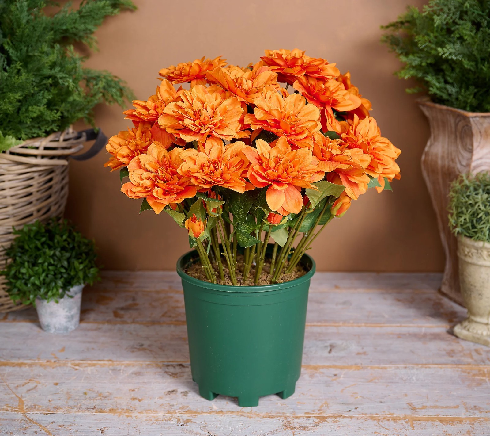 24″ Deluxe Faux Floral Mums in Starter Pot Orange Valerie Parr Hill