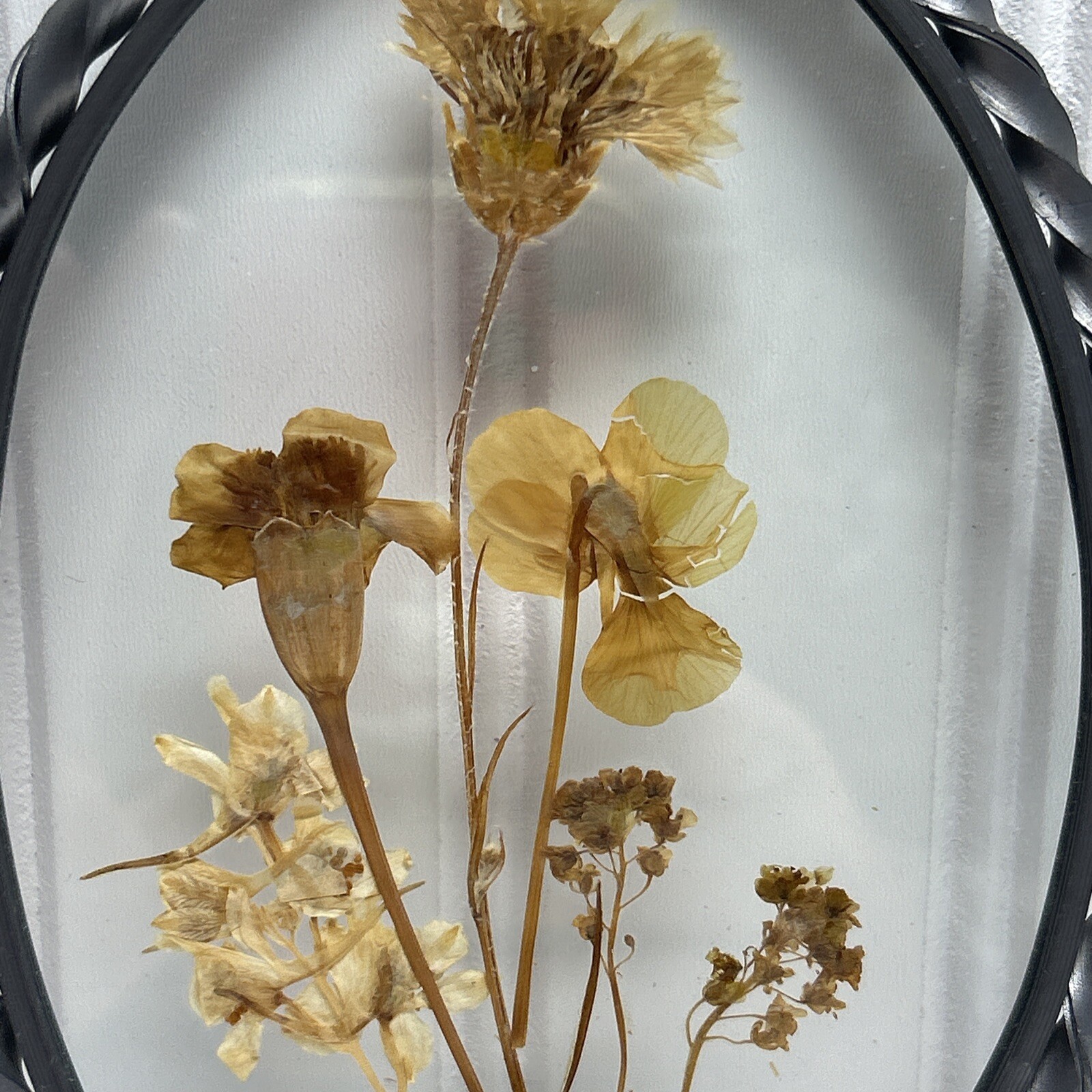 Vintage Lasting Impressions Real Dried Pressed Flowers In Glass W/ Metal Frame