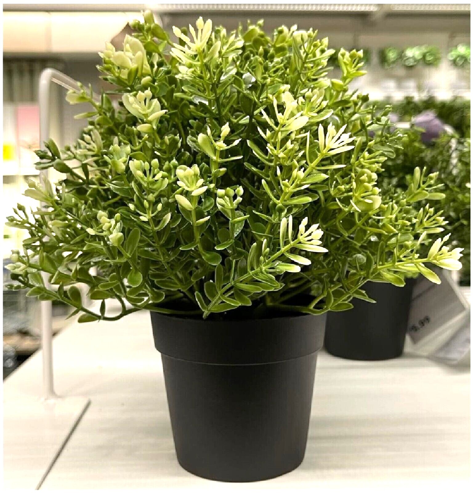 IKea FEJKA Artificial Potted Plant THYME 3 ½ ” Indoor/Outdoor Brand New