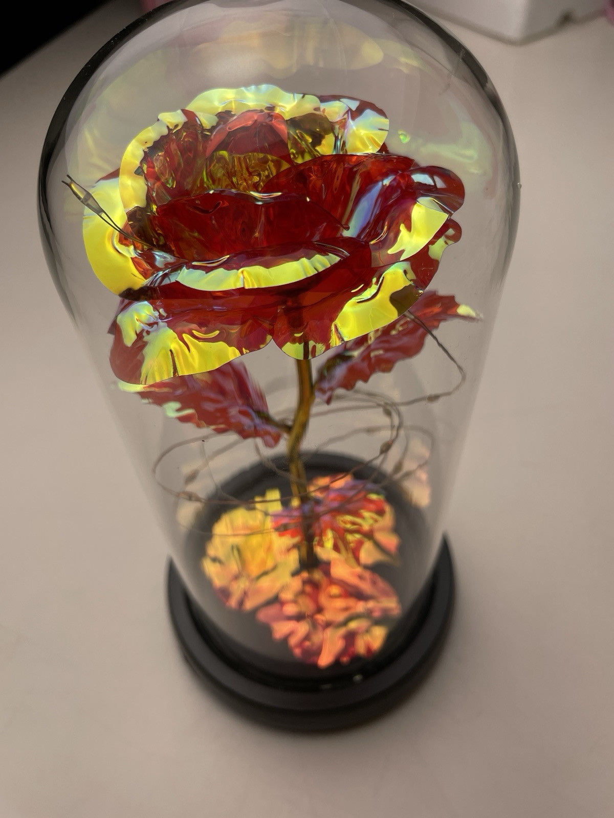 Jaime Win Mother’s Day Rose In Jar Light Up LED Birthday Valentines Day New